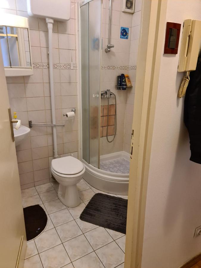 Apartman U Velikoj Gorici Zeljko Velika Gorica Buitenkant foto