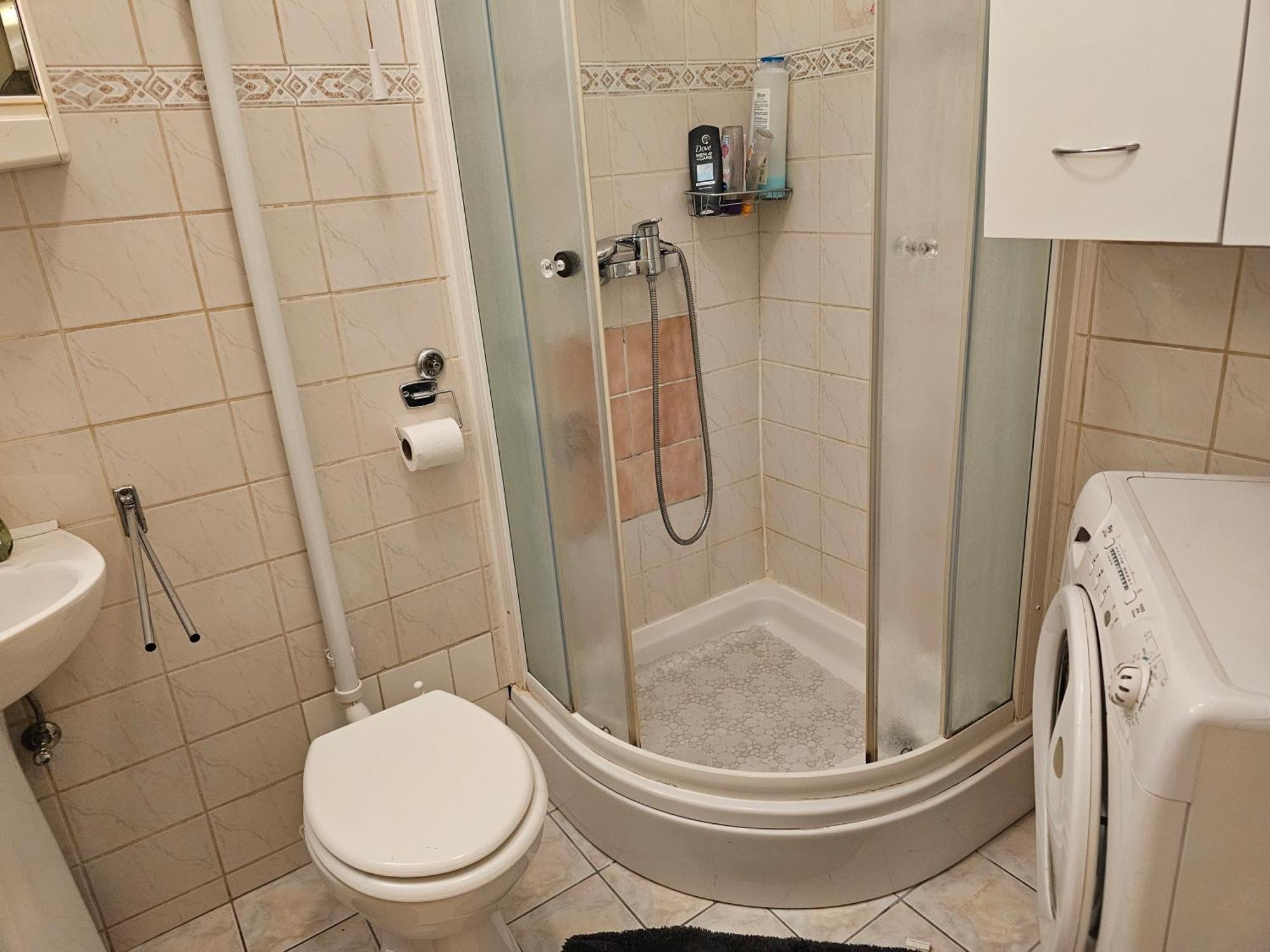 Apartman U Velikoj Gorici Zeljko Velika Gorica Buitenkant foto